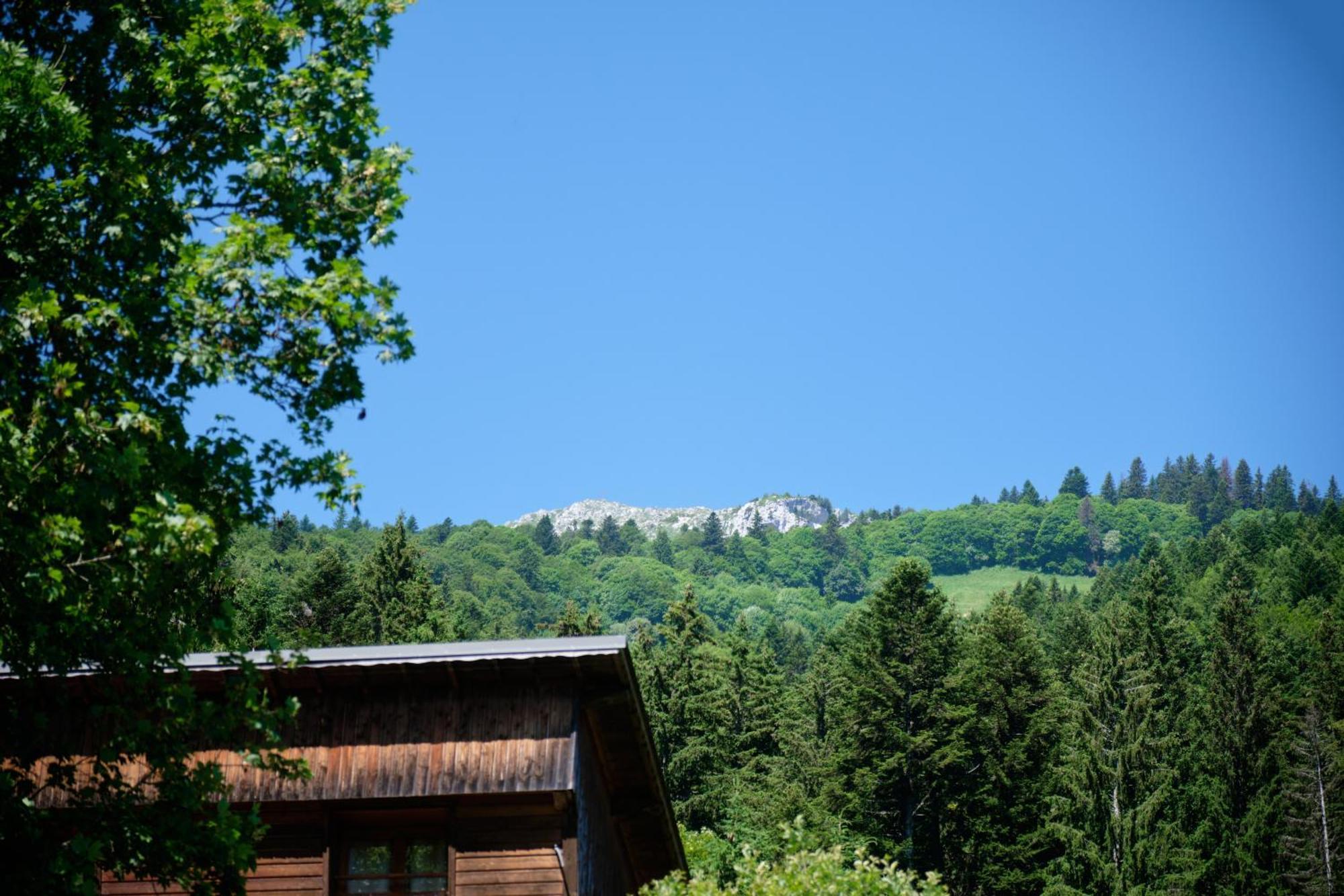 Chalet Le Lys Martagon Saint-Pierre-d'Entremont  Exterior photo